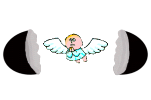 The Site Fights Egg