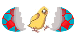 The Site Fights Egg