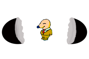 The Site Fights Egg