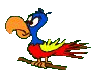 [parrot]