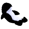 [Waves]