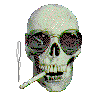 [smoaker.gif]